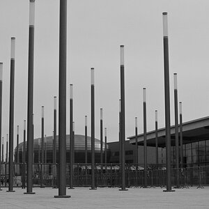 DSC_7641.JPG
