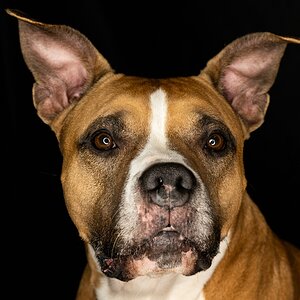 Opie