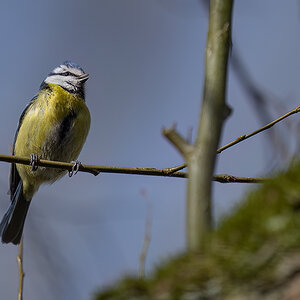 _RGZ0413-Koks-Loch-1200.jpg