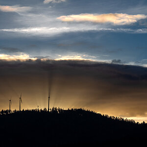 20240213-NZ6_9592.jpg