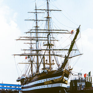 DSC_8247.jpg