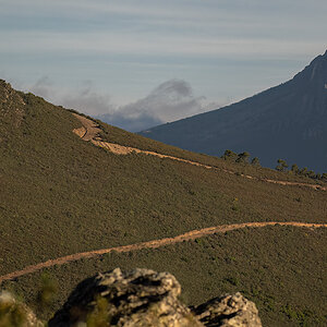 _NZ95848-HabAdl-1200.jpg