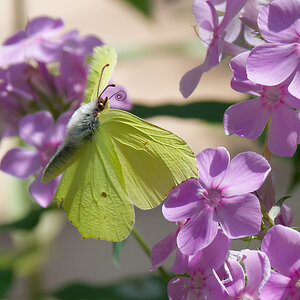P7182458nikon.jpg
