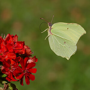 P7253098nikon.jpg