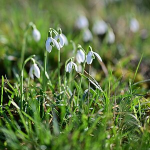 Frühling2024_02.jpg
