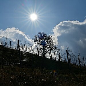 Frühling2024_07.jpg