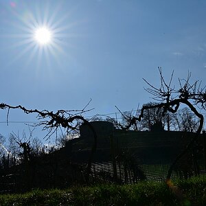Frühling2024_09.jpg