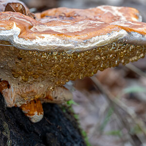 20240217-NZ6_9631-Verbessert-RR.jpg