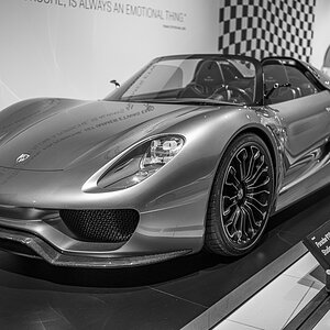Z8A_5017.jpg