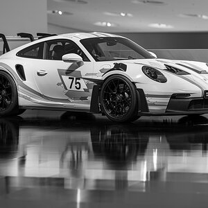 Z8A_5372.jpg