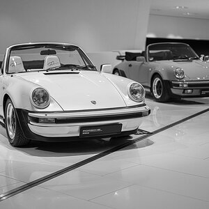 Z8A_6117.jpg