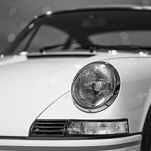 Z8A_6174.jpg