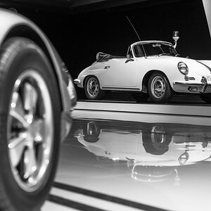 Z8A_6937.jpg