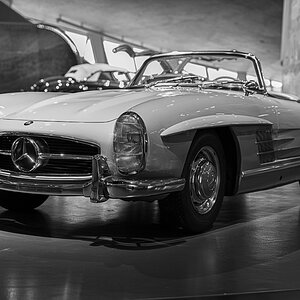 Z8A_4898.jpg