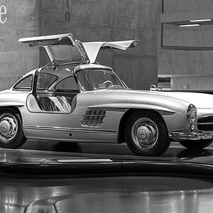 Z8A_6802.jpg