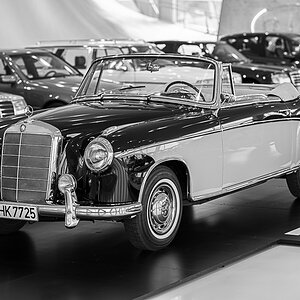 Z8A_6810.jpg