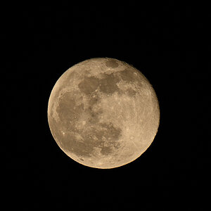 DSC_9590.JPG