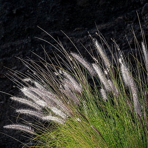 ZHG_1032.jpg