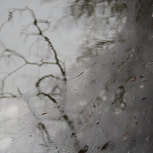 N2296355nikon.jpg