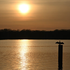 DSC_9597.JPG