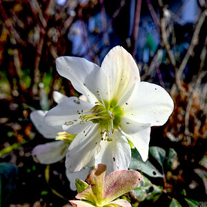 Frühling