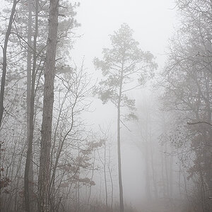 Nebel.jpg