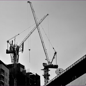 comp_2cranes.jpg