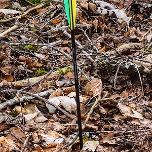 P3030028-Edit.jpg