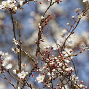 NIKON_2024_00007NF.jpg