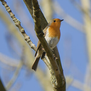 NIKON_2024_00013NF.jpg
