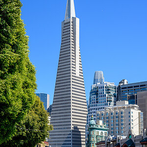 MRZ_1826 50.jpg