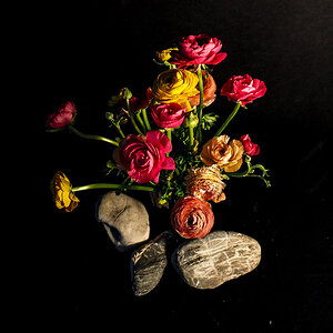 P3040073-Edit.jpg
