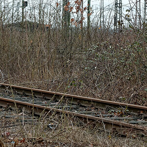 DSC_0042_DxOPAxl.jpg