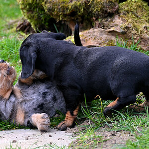L5-39.JPG