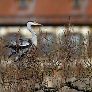 2024_015782_DxO.jpg