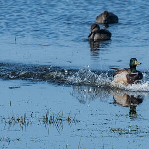 240314-010.jpg
