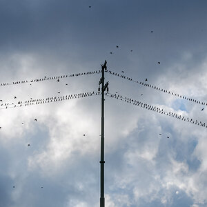 20121012-DSC_0311.jpg