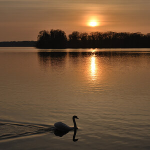 DSC_9610.JPG