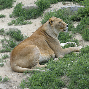 _DSC5706NF.jpg