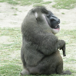 _DSC5725NF.jpg