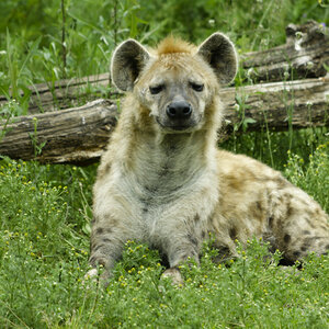 _DSC5748NF.jpg