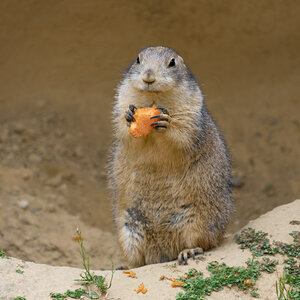 _DSC5811NF.jpg