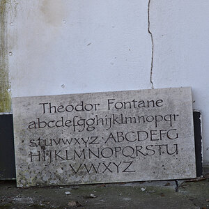 DSC_9696.JPG