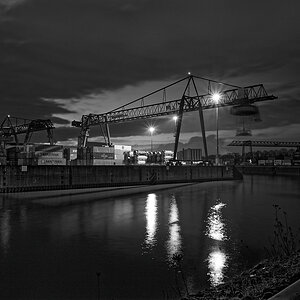 DSC_4387.jpg