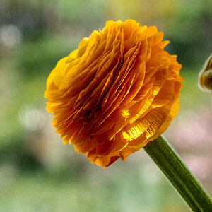 P3200089-Edit.jpg