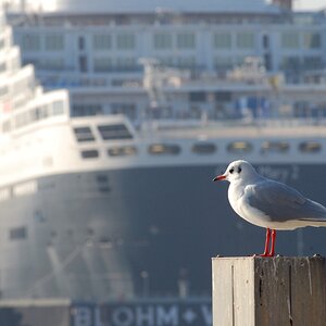 queen_mary_2(5).jpg
