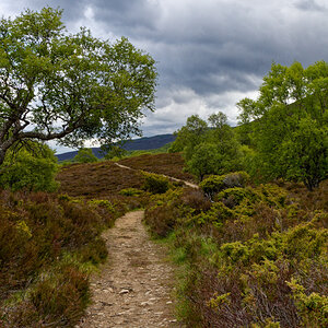 In den Highlands