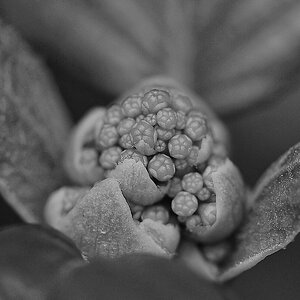 _D3S4064_DxOAAQxl-SW.jpg