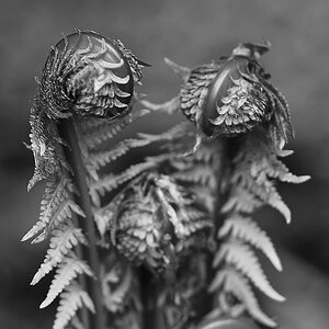 _D3S4067_DxOAHSWxl.jpg