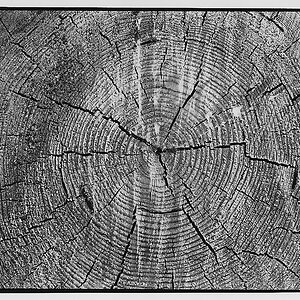 Holzschnitt